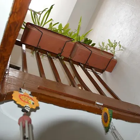 Volets Bleus Et Briques Rouges * Albi