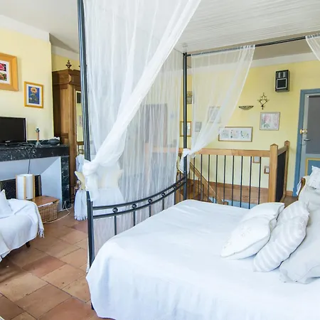 Volets Bleus Et Briques Rouges Albi