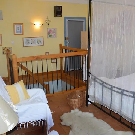 Volets Bleus Et Briques Rouges * Albi