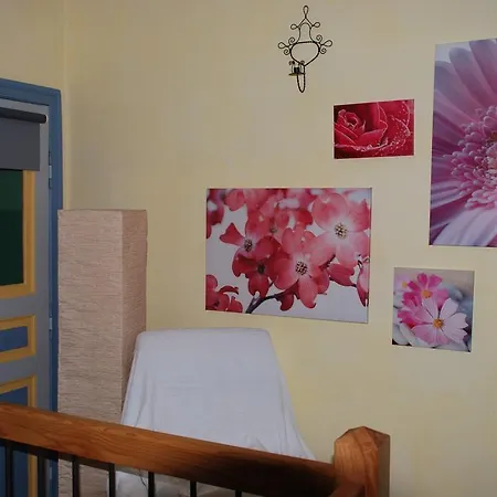 Volets Bleus Et Briques Rouges *