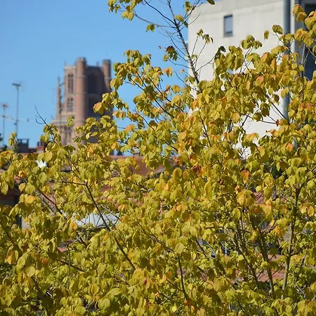 Daire Volets Bleus Et Briques Rouges