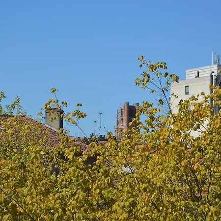 Volets Bleus Et Briques Rouges Appartement Albi