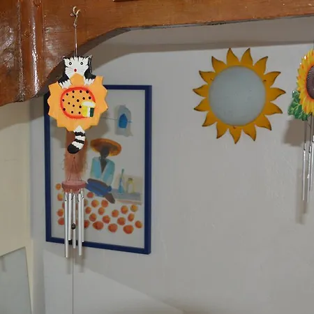 Volets Bleus Et Briques Rouges Albi