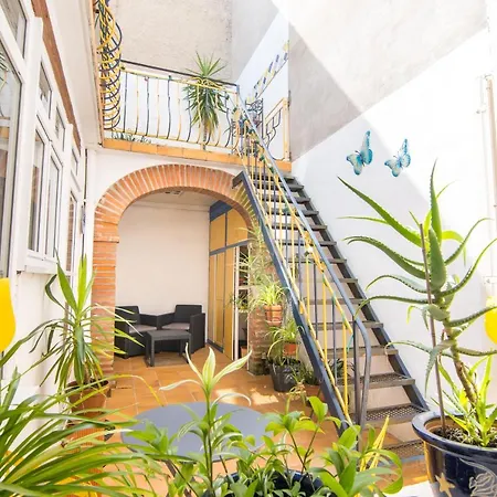 Volets Bleus Et Briques Rouges Albi