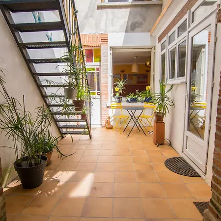 Volets Bleus Et Briques Rouges * Albi