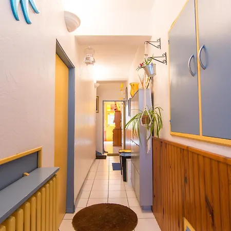 Volets Bleus Et Briques Rouges