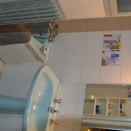 Volets Bleus Et Briques Rouges Daire Albi