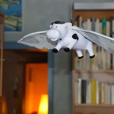 Daire Volets Bleus Et Briques Rouges Albi